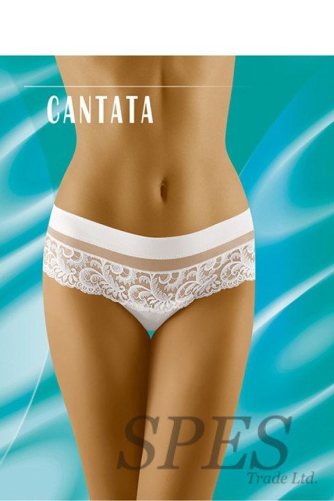 Stringi Model Cantata White - Wolbar